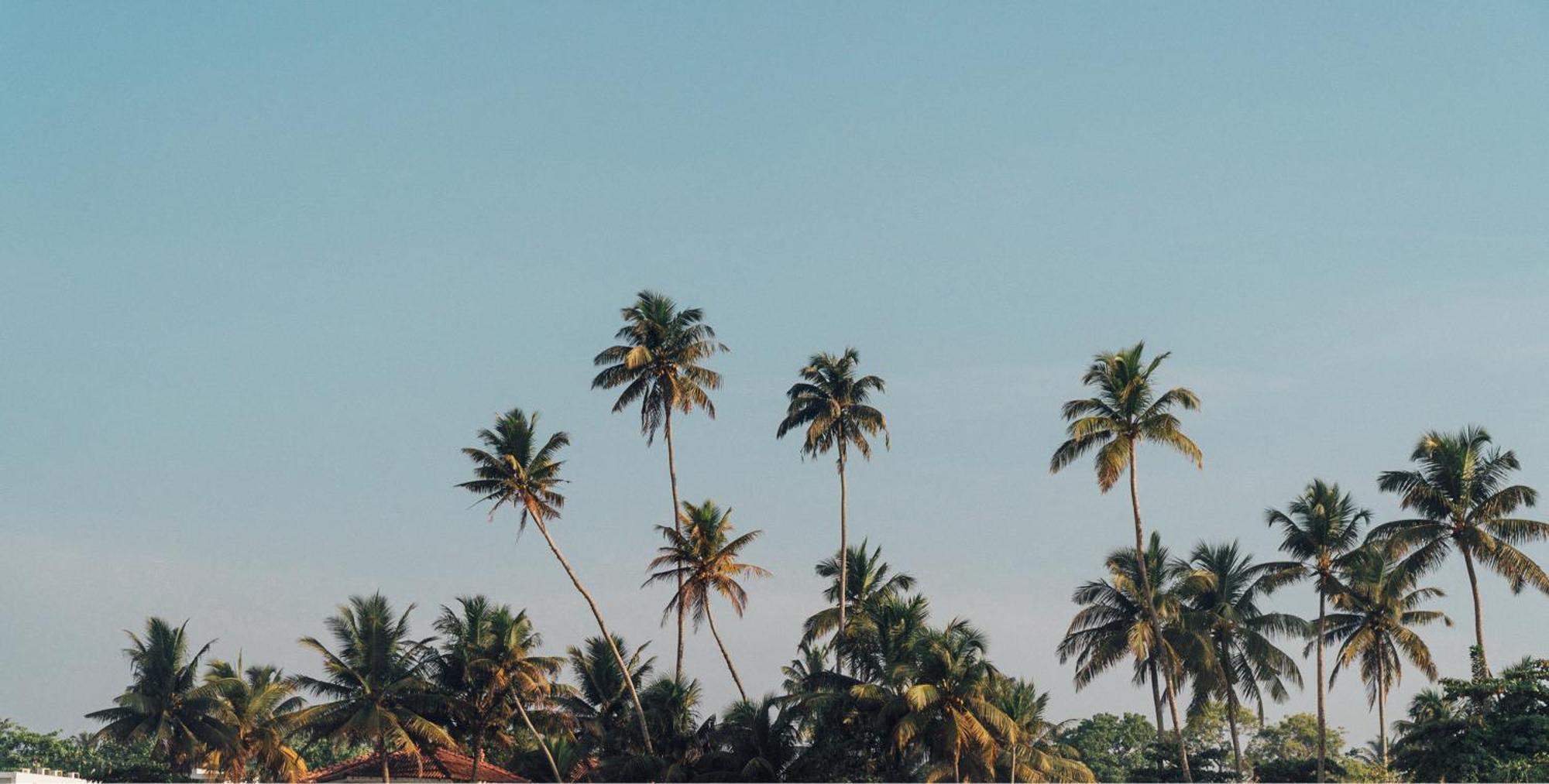 Lucky'S Surf Camp Bed & Breakfast เวลิกามา ภายนอก รูปภาพ