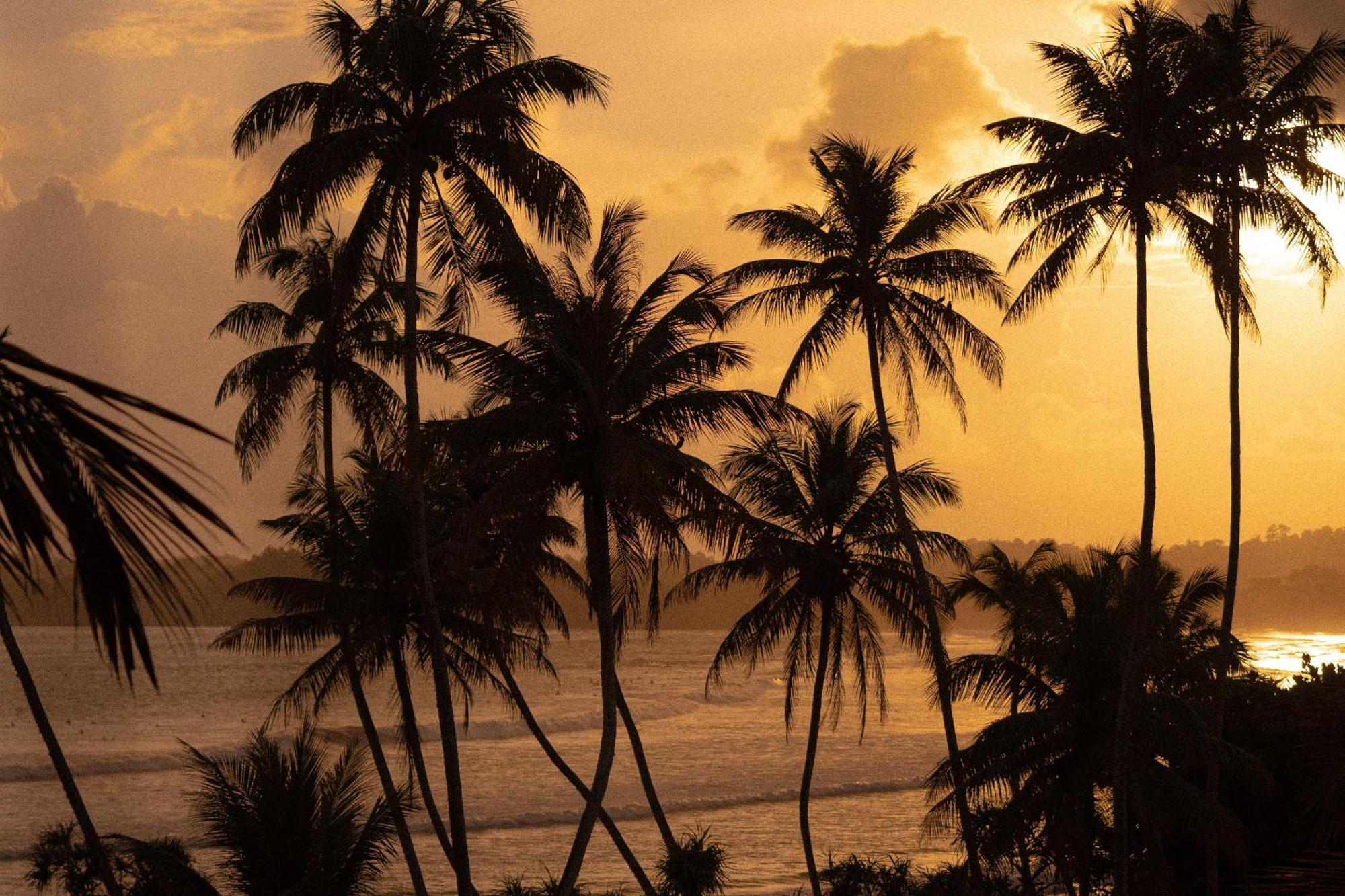 Lucky'S Surf Camp Bed & Breakfast เวลิกามา ภายนอก รูปภาพ