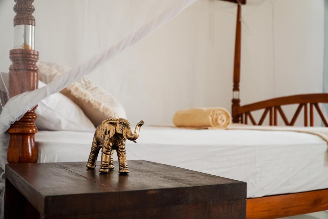 Lucky'S Surf Camp Bed & Breakfast เวลิกามา ภายนอก รูปภาพ